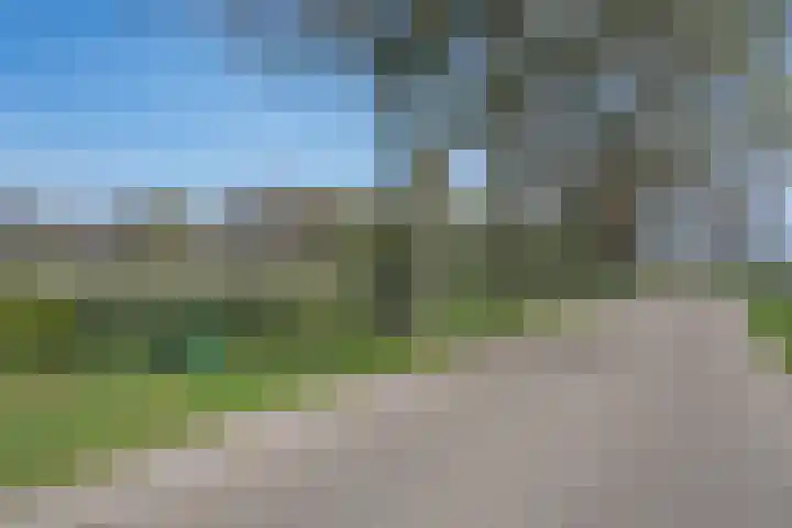 Wandersweg 13 Winterswijk Meddo thumbnail 58