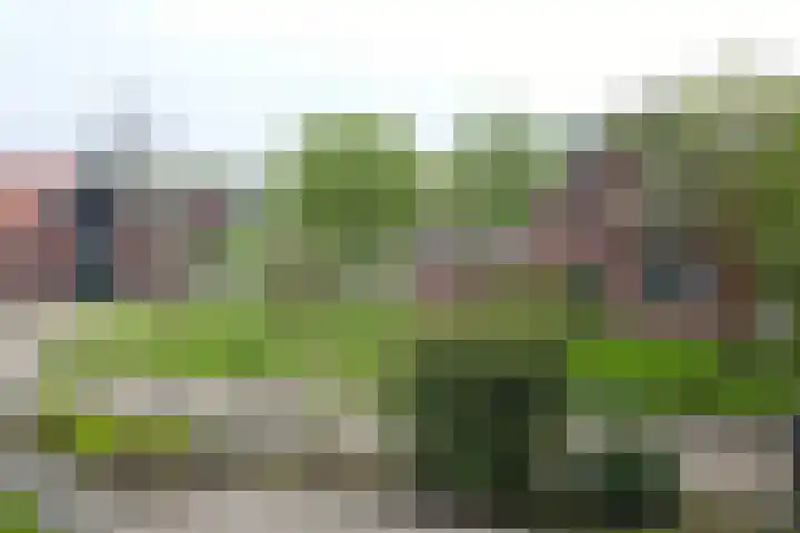 Wandersweg 13 Winterswijk Meddo thumbnail 6