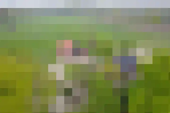 Wandersweg 13 Winterswijk Meddo thumbnail 60