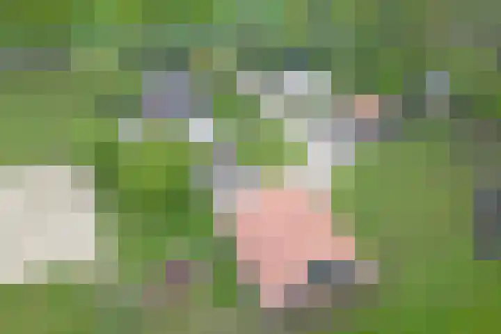 Wandersweg 13 Winterswijk Meddo thumbnail 61