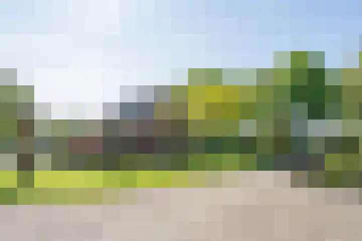 Wandersweg 13 Winterswijk Meddo thumbnail 8