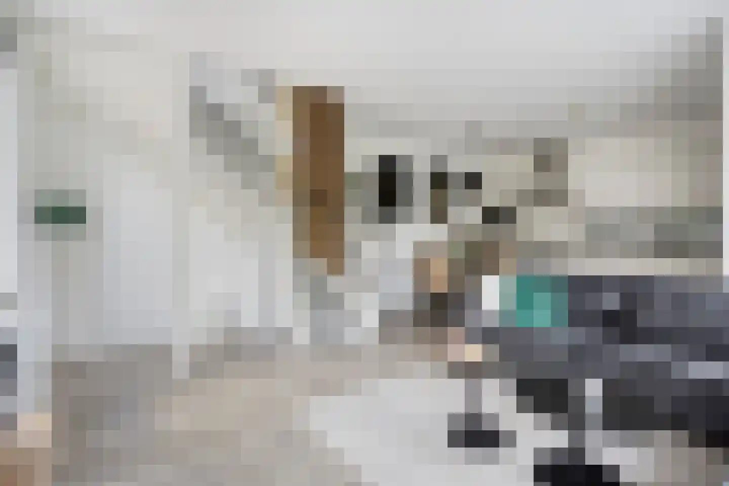 Wandgreppel 28 Oss thumbnail 10