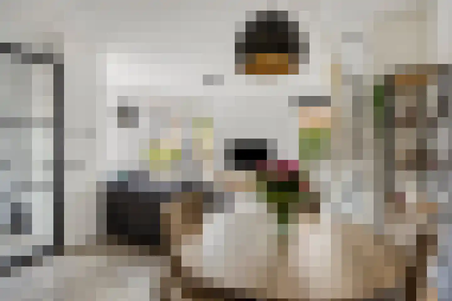 Wandgreppel 28 Oss thumbnail 14