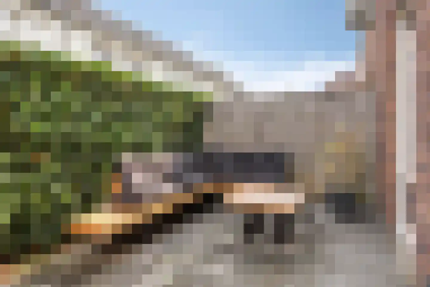 Wandgreppel 28 Oss thumbnail 17