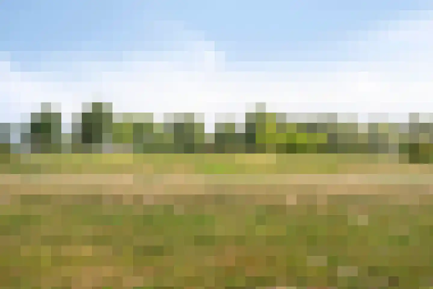 Wandgreppel 28 Oss thumbnail 35