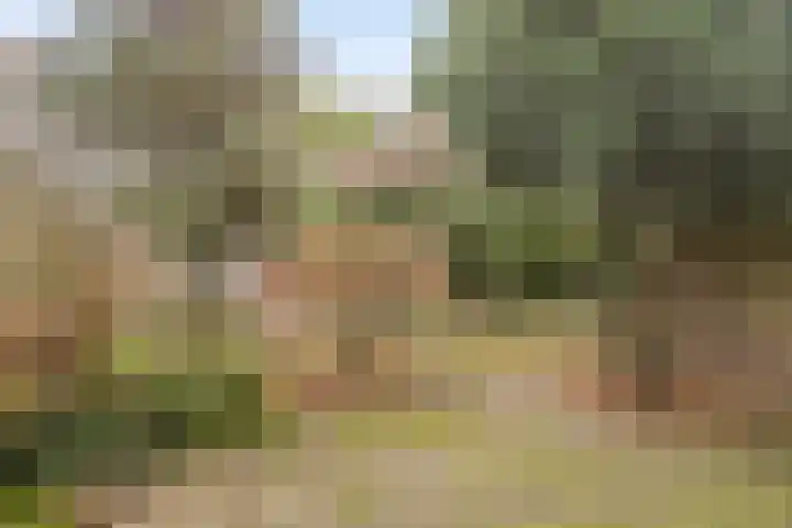 Wandscheerstraat 39 Ede thumbnail 34
