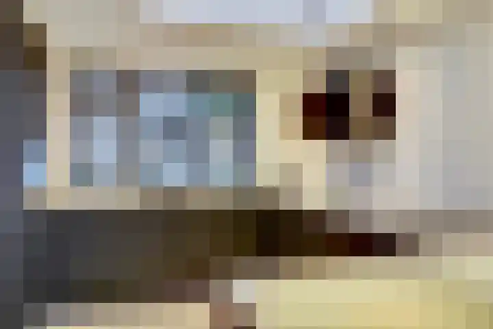 Wanmolen 10 Eersel thumbnail 17