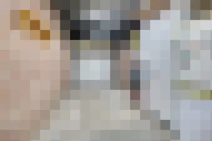 Wanmolen 10 Eersel thumbnail 39