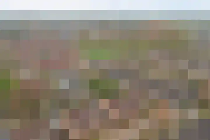 Wanmolen 10 Eersel thumbnail 4
