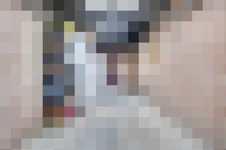 Wanmolen 10 Eersel thumbnail 40