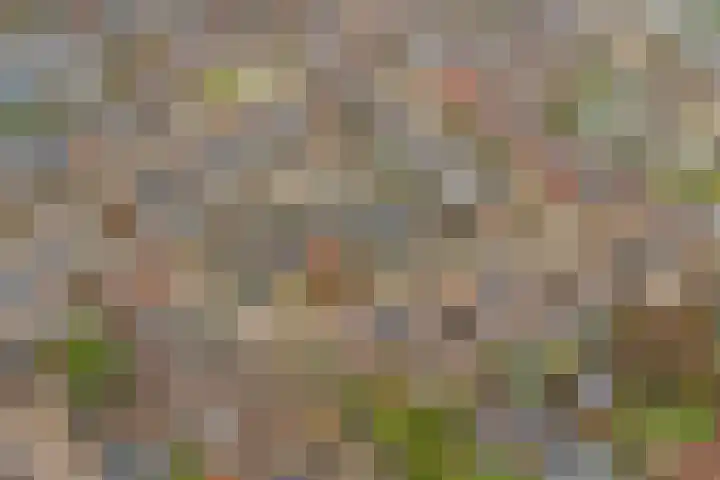 Wanmolen 10 Eersel thumbnail 48