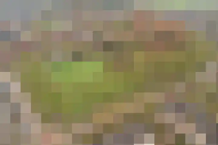 Wanmolen 10 Eersel thumbnail 49