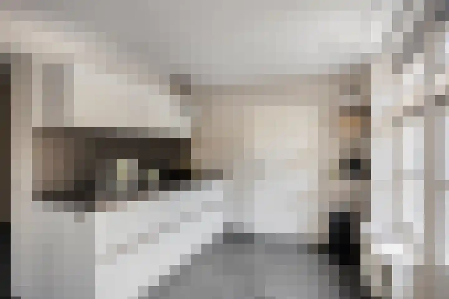 Wanmolen 12 Berghem thumbnail 14