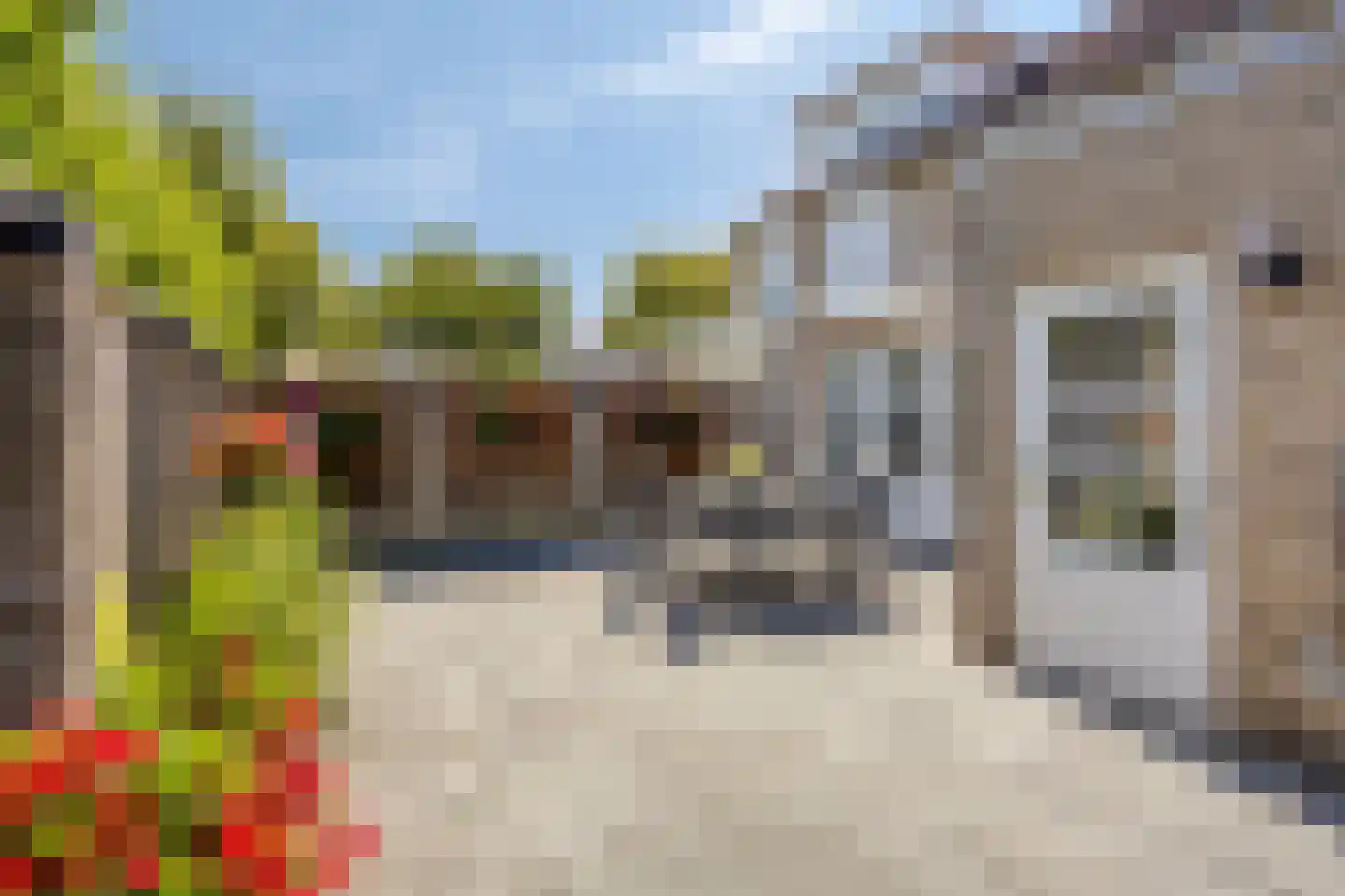 Wanmolen 12 Berghem thumbnail 31