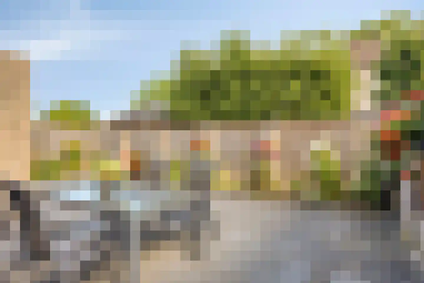 Wanmolen 12 Berghem thumbnail 33