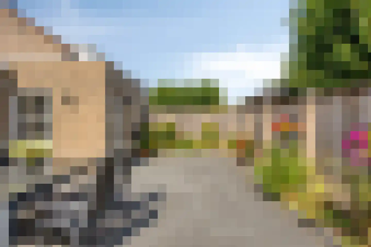 Wanmolen 12 Berghem thumbnail 34