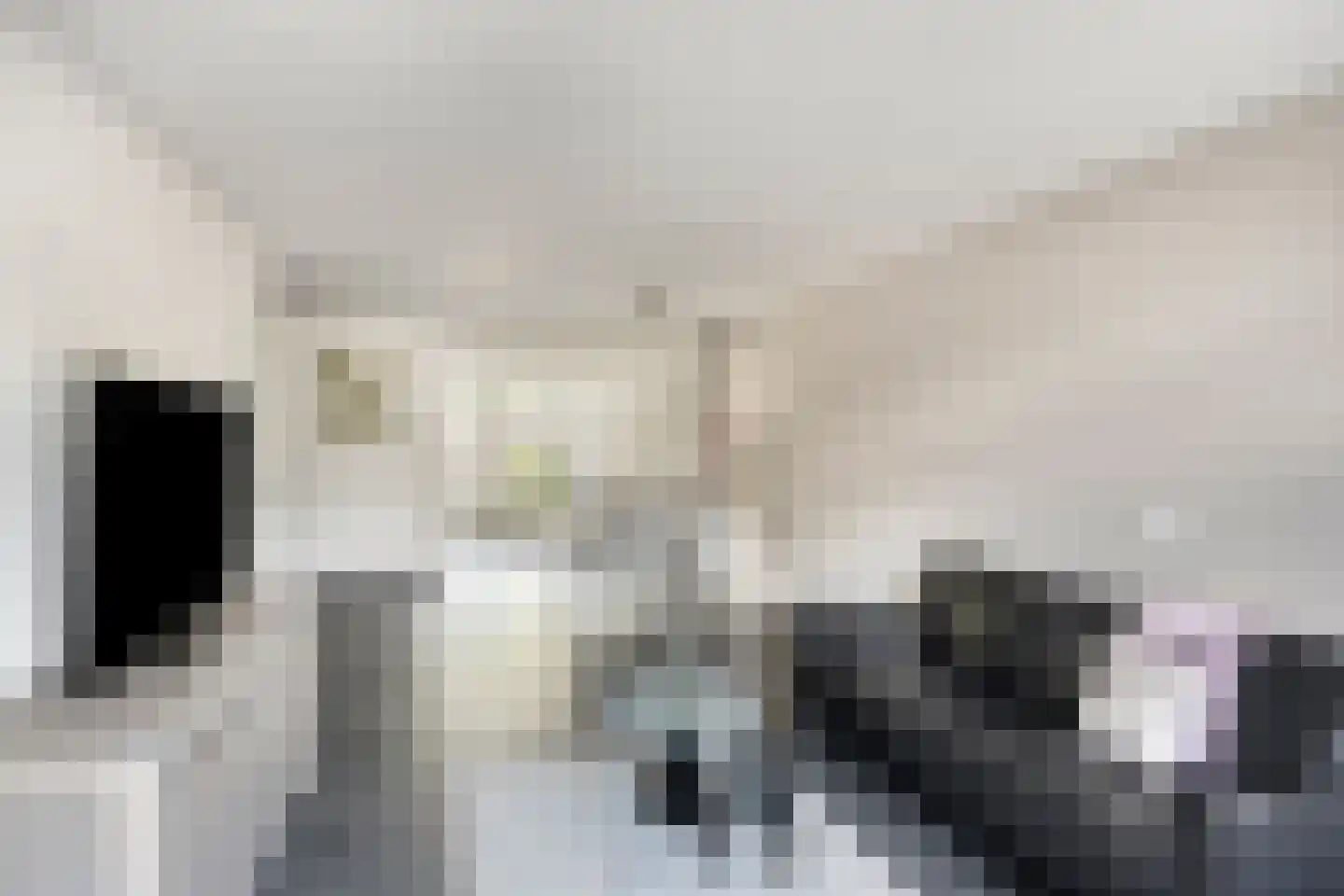 Wanmolen 12 Berghem thumbnail 7