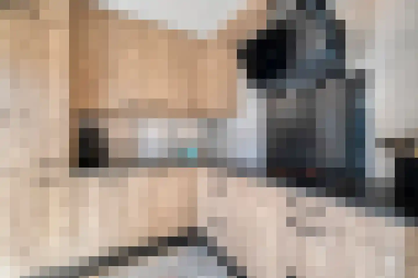 Wanmolen 16 Wieringerwerf thumbnail 4