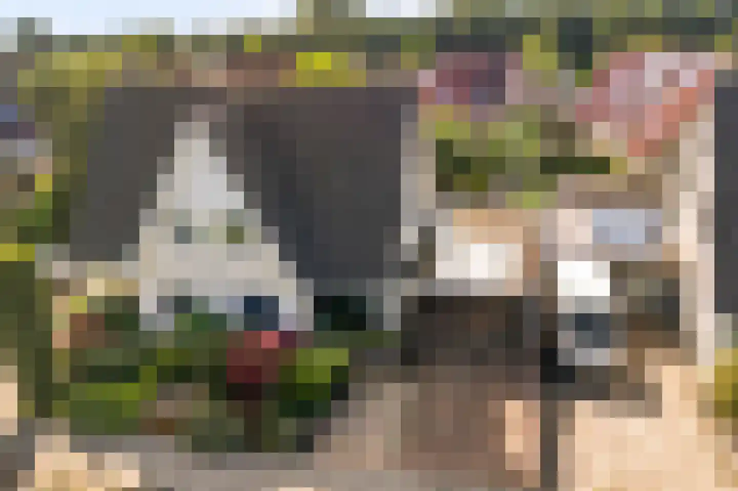 Wanmolen 16 Wieringerwerf thumbnail 46
