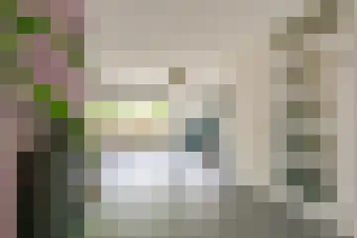 Wanmolen 25 Wieringerwerf thumbnail 10