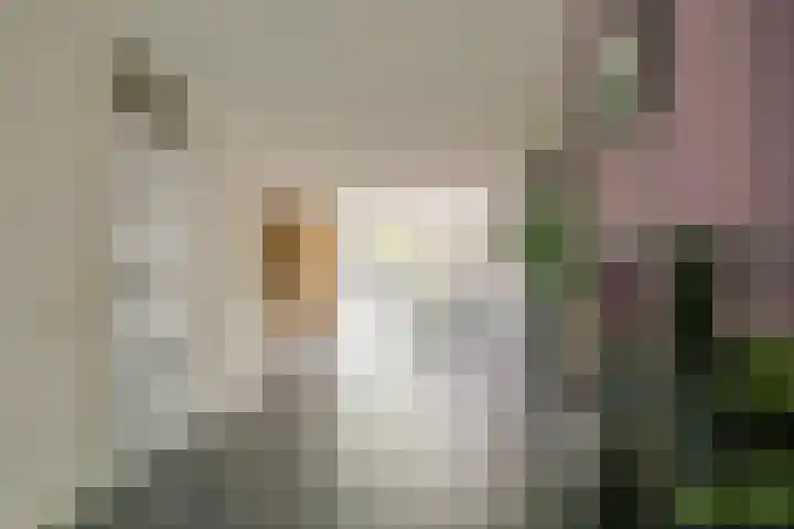 Wanmolen 25 Wieringerwerf thumbnail 14