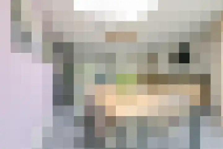 Wanmolen 25 Wieringerwerf thumbnail 17