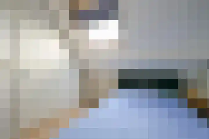 Wanmolen 25 Wieringerwerf thumbnail 35