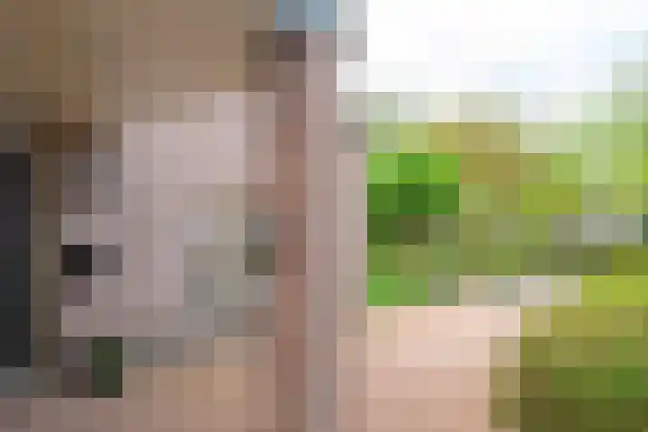 Wanmolen 25 Wieringerwerf thumbnail 42