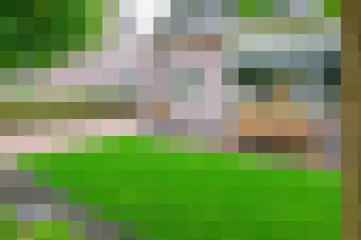 Wanmolen 25 Wieringerwerf thumbnail 43