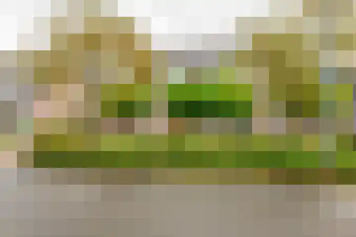 Wanmolen 25 Wieringerwerf thumbnail 45