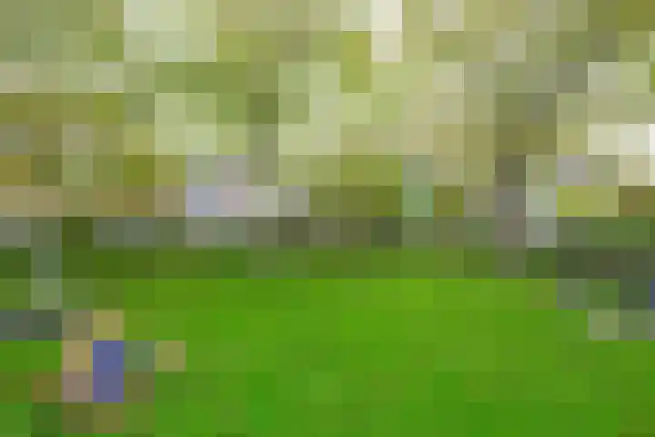 Wanmolen 25 Wieringerwerf thumbnail 46