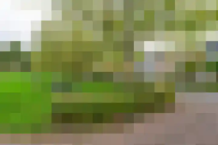 Wanmolen 25 Wieringerwerf thumbnail 47