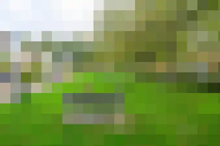 Wanmolen 25 Wieringerwerf thumbnail 48