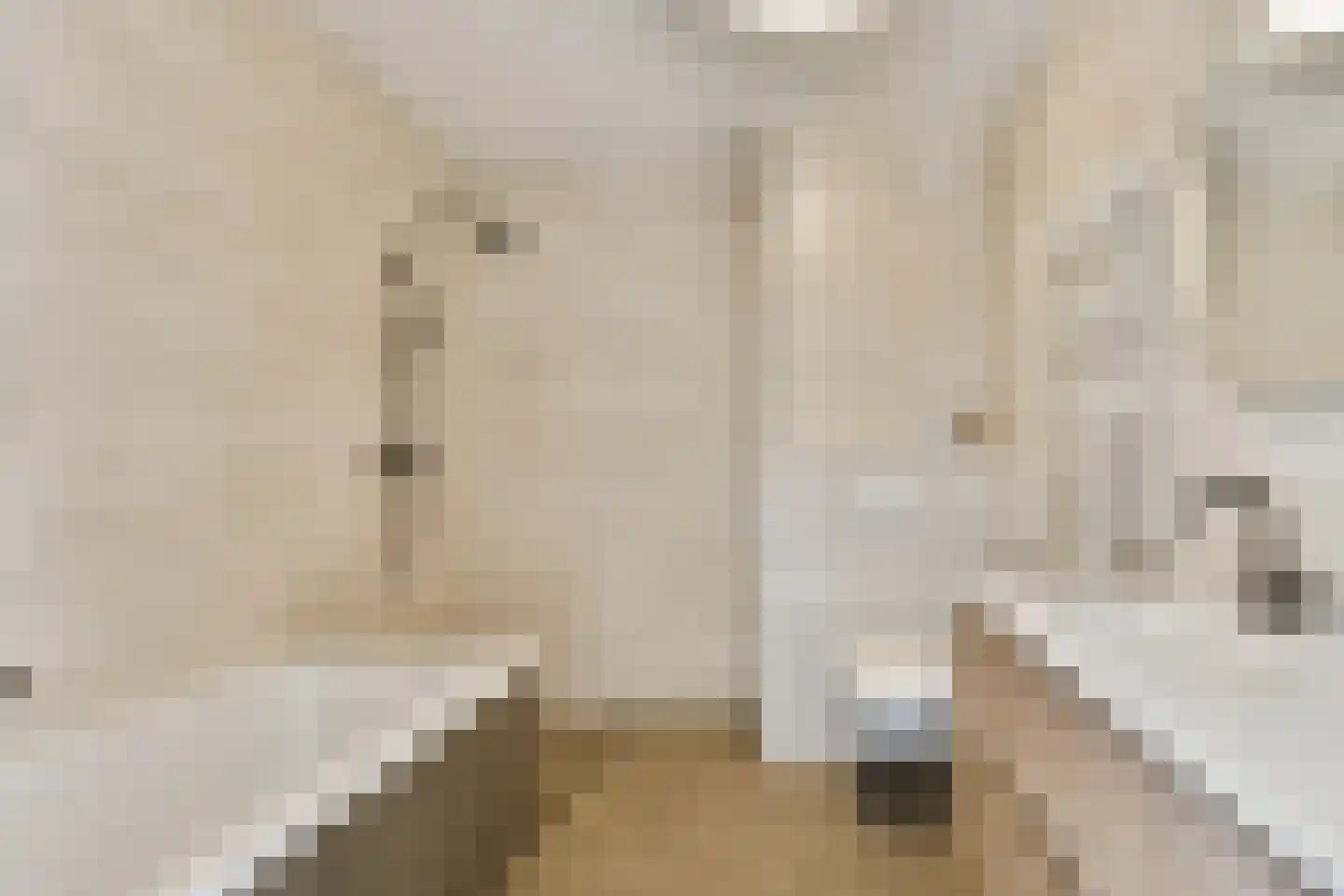 Wanmolenlaan 12 Sassenheim thumbnail 19