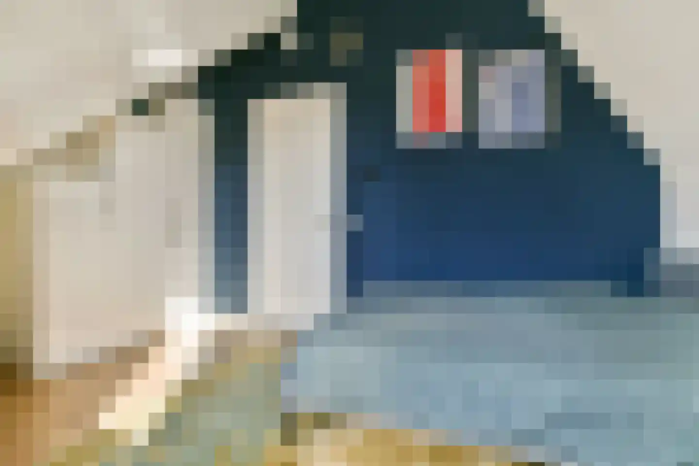 Wanmolenlaan 12 Sassenheim thumbnail 23