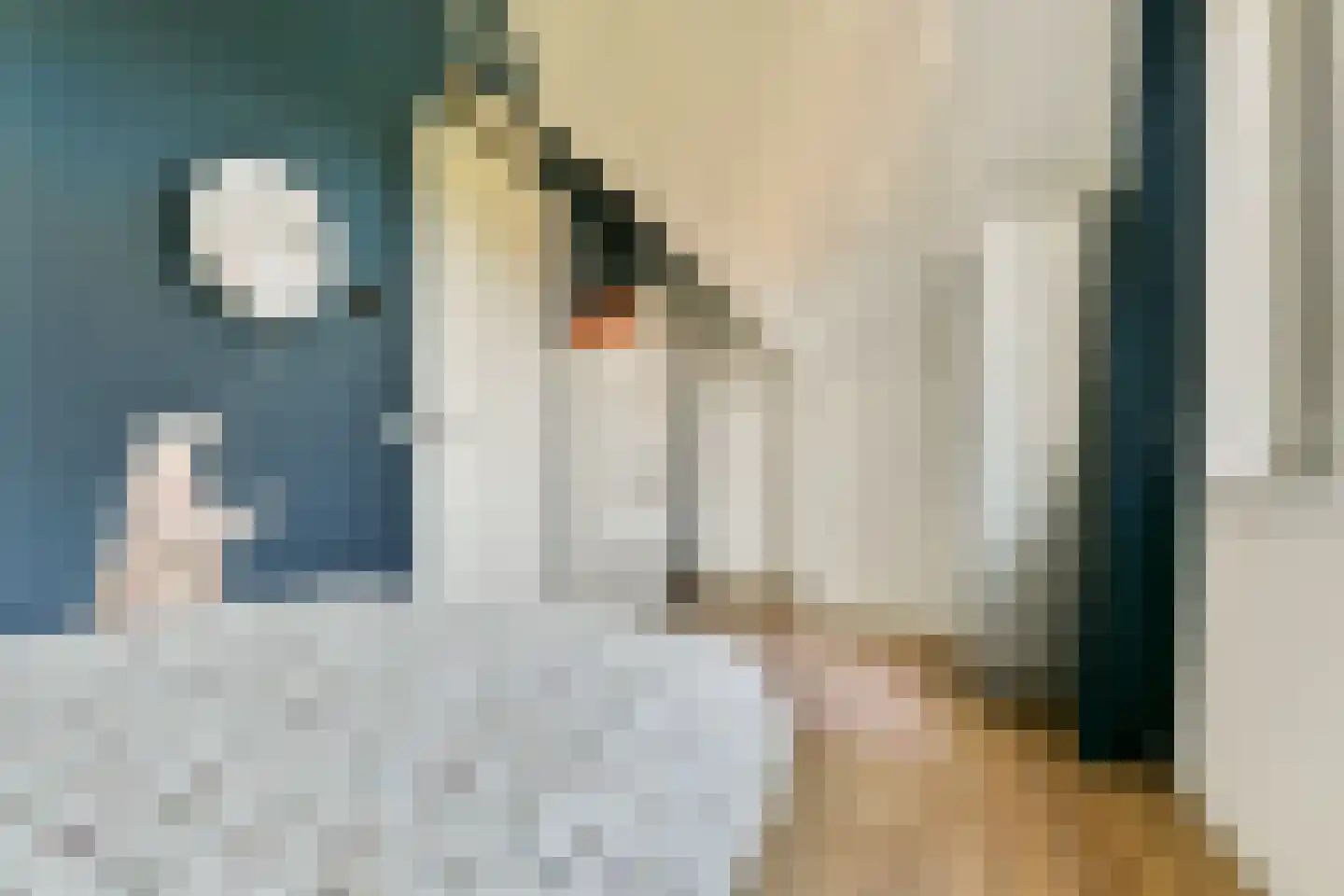 Wanmolenlaan 12 Sassenheim thumbnail 25