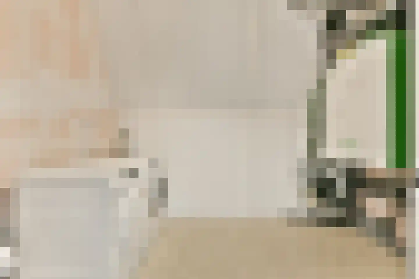 Wanmolenlaan 12 Sassenheim thumbnail 26