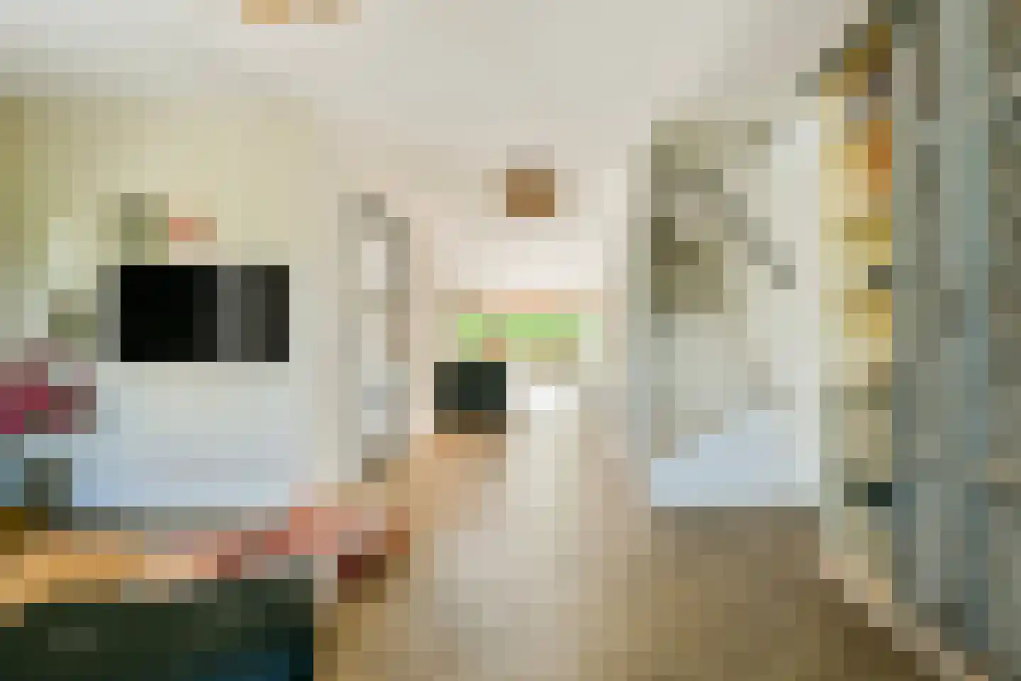 Wanmolenlaan 12 Sassenheim thumbnail 4