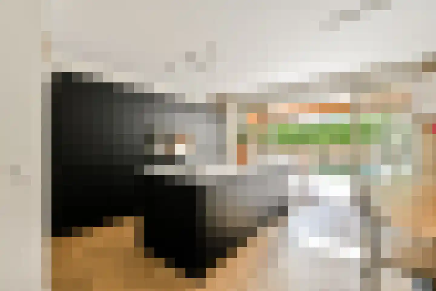 Wanmolenlaan 12 Sassenheim thumbnail 5
