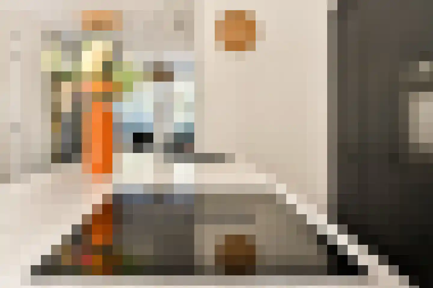 Wanmolenlaan 12 Sassenheim thumbnail 9