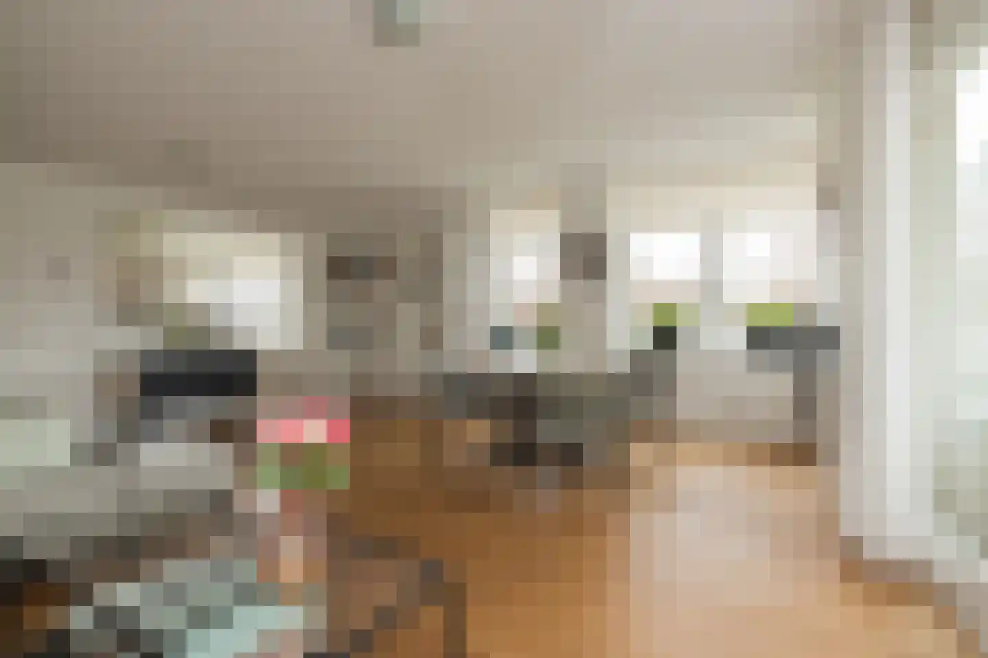 Wanmolenlaan 13 Sassenheim thumbnail 13
