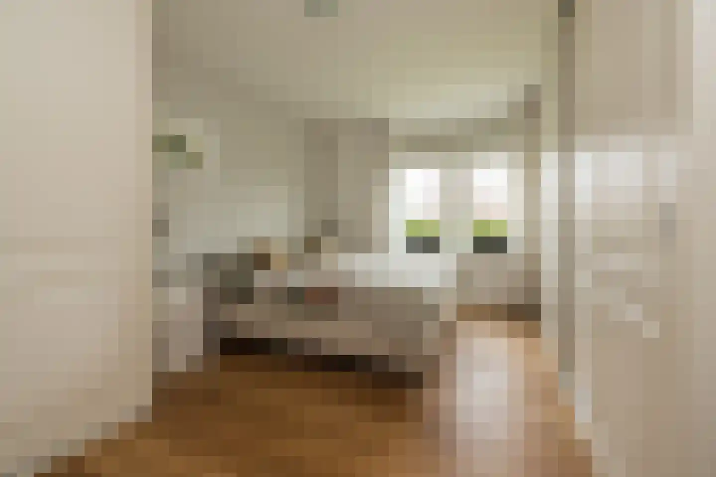 Wanmolenlaan 13 Sassenheim thumbnail 22