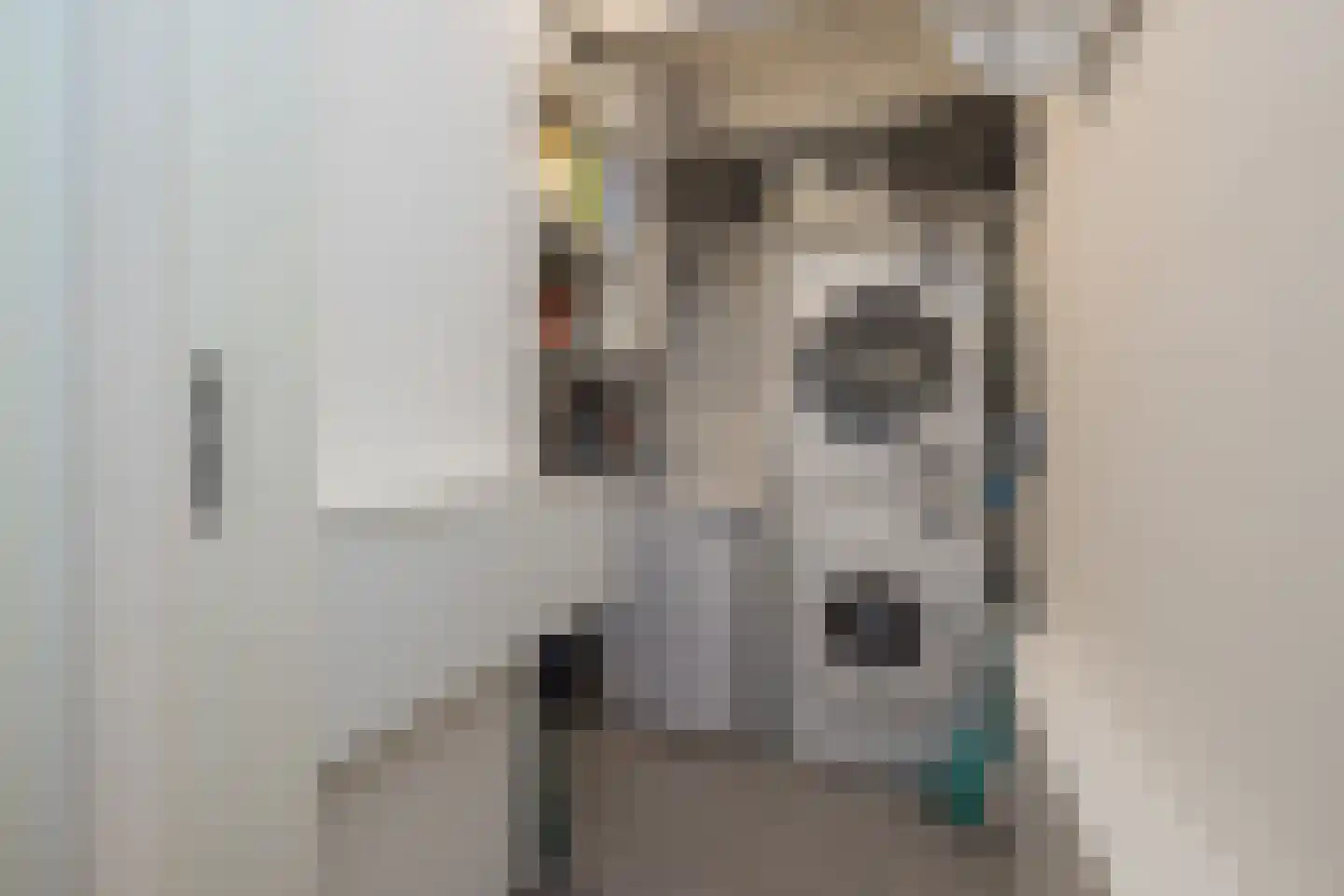Wanmolenlaan 13 Sassenheim thumbnail 31