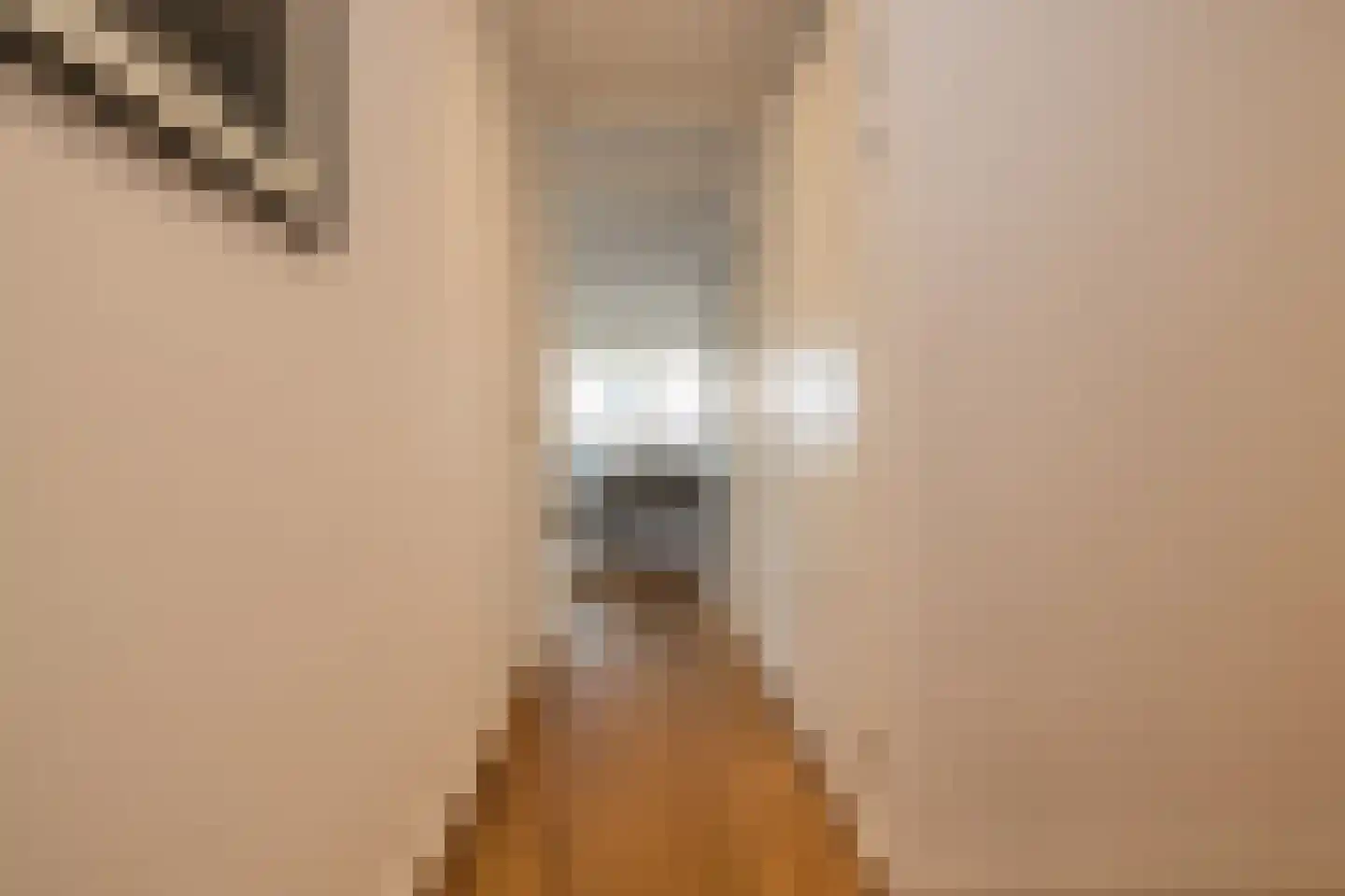 Wanmolenlaan 13 Sassenheim thumbnail 32