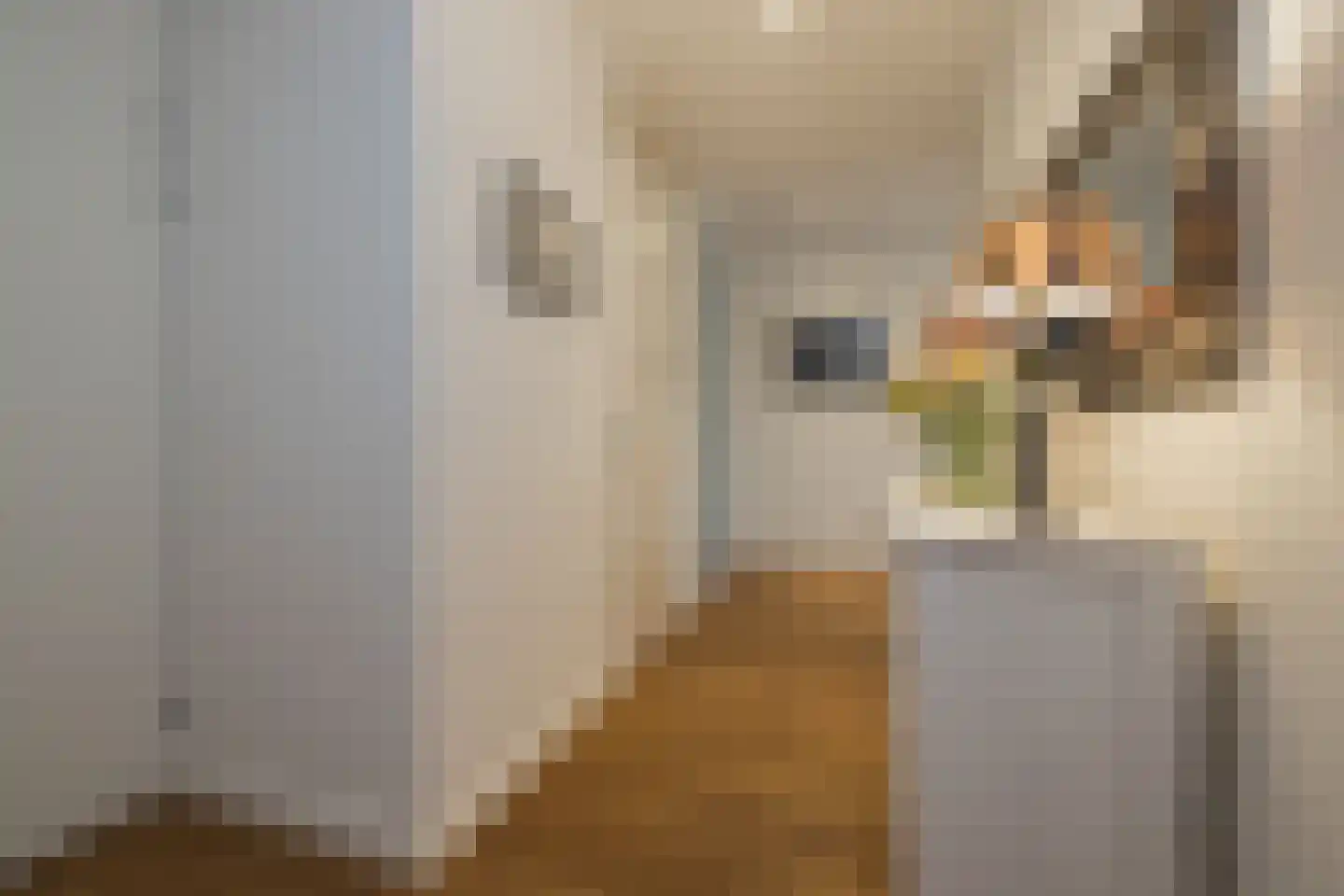 Wanmolenlaan 13 Sassenheim thumbnail 33