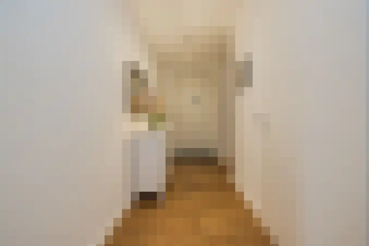 Wanmolenlaan 13 Sassenheim thumbnail 34