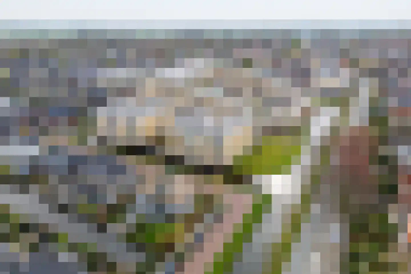 Wanmolenlaan 13 Sassenheim thumbnail 45