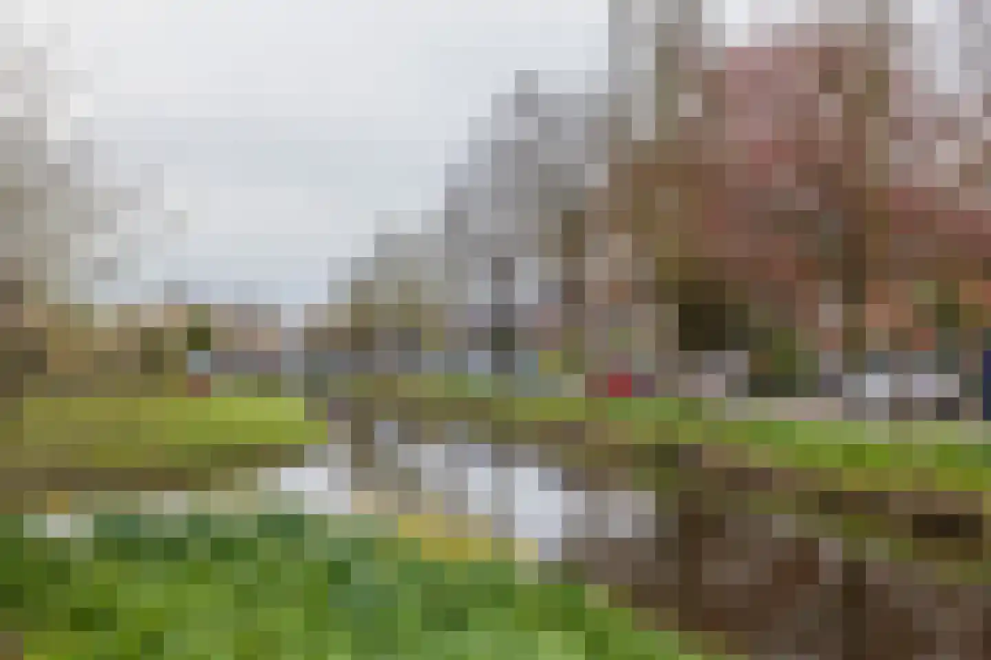 Wanmolenlaan 13 Sassenheim thumbnail 50