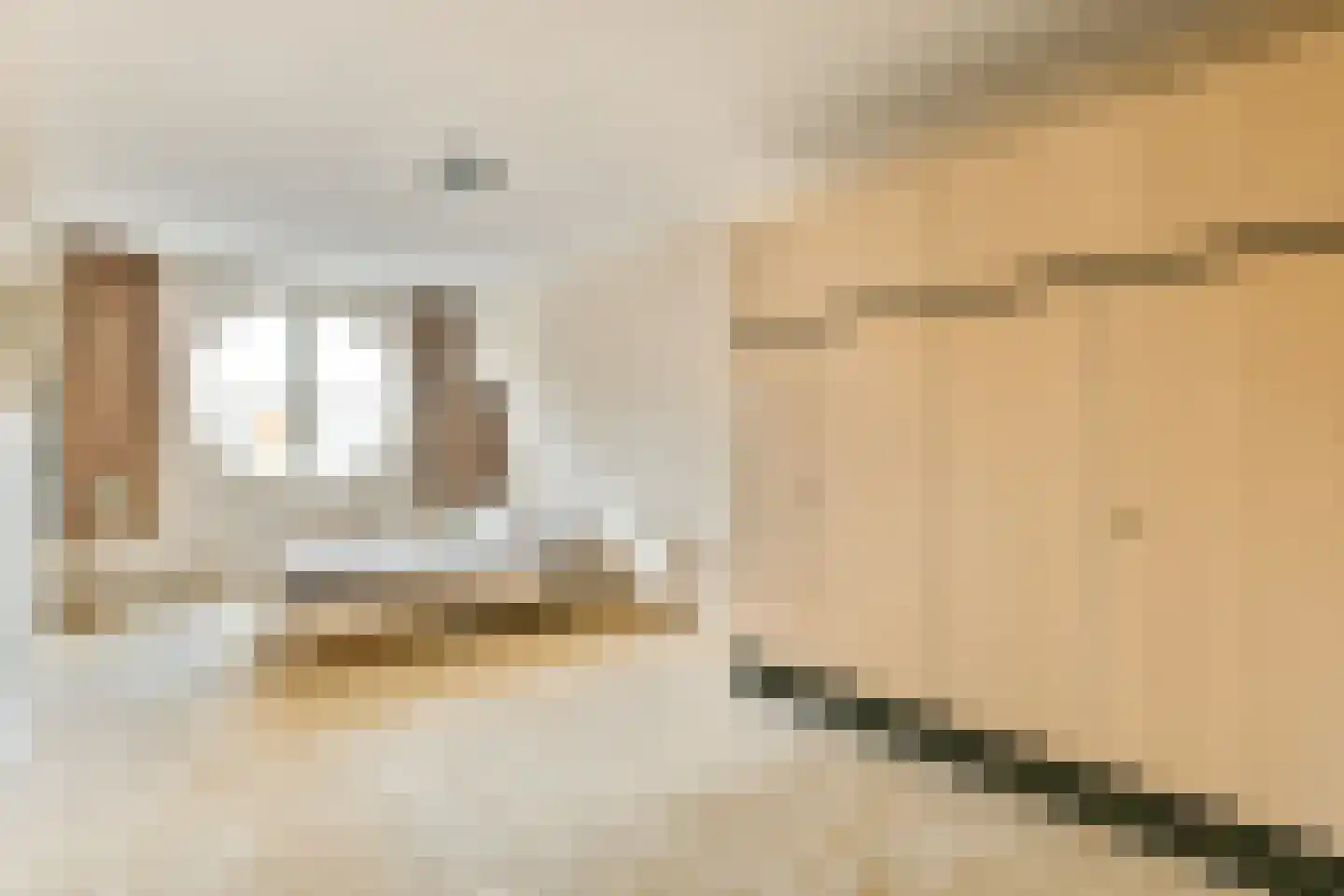 Wanmolenlaan 29 Sassenheim thumbnail 16