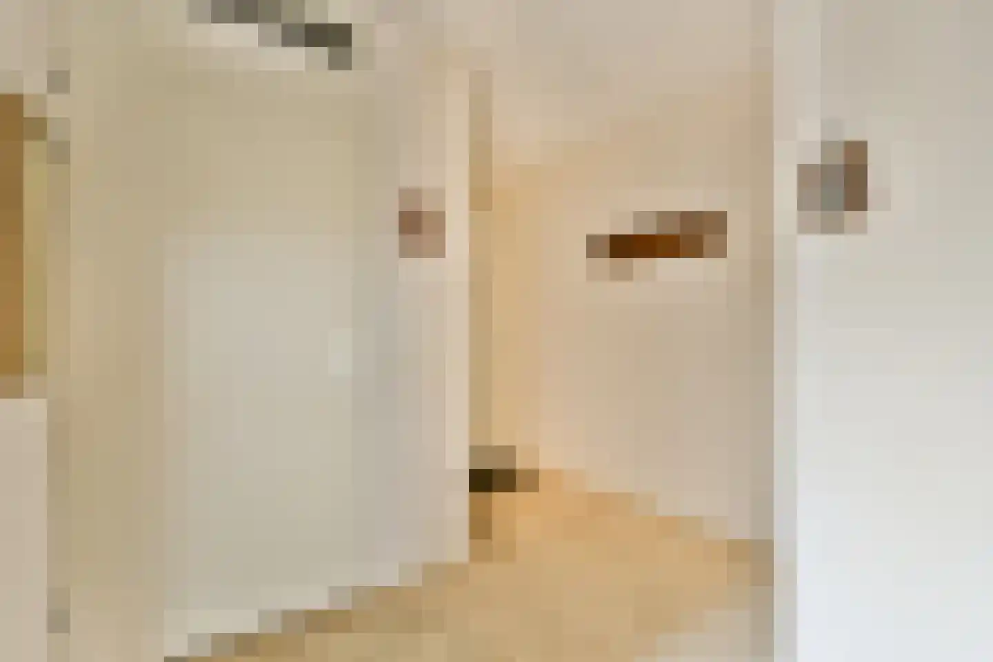 Wanmolenlaan 29 Sassenheim thumbnail 20